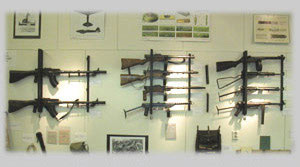 military guns